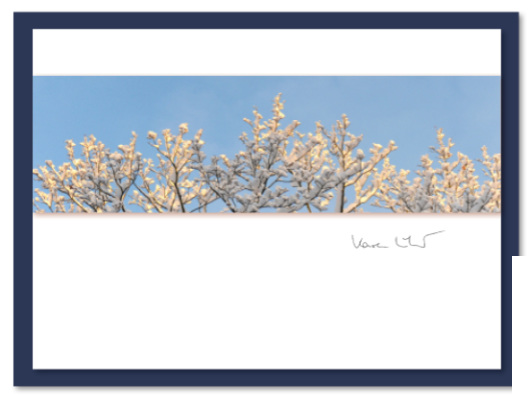 "Winterliche Baumspitzen" - Weihnachtskarten von nicecards