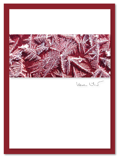 "Roter Frost" - Weihnachtskarten von nicecards